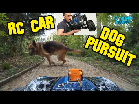 RC CAR TRAXXAS X-MAXX - FPV DOG PURSUIT... VIDEO GAG - MONSTER TRUCKS