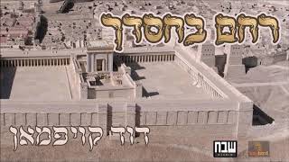 Duvid Kaufman - Racheim - Single | דוד קויפמאן רחם בחסדך