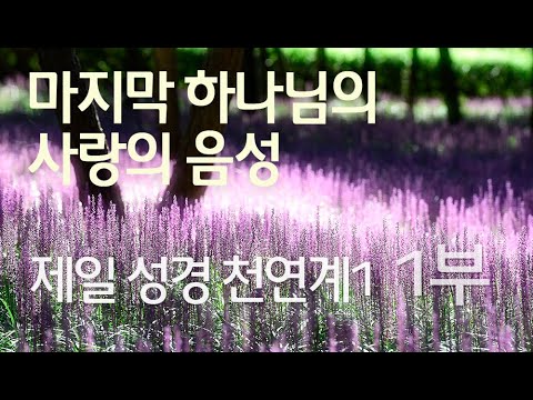 제일 성경 천연계1 1부