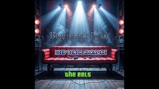 the eels - Beginner&#39;s Luck (Custom Karaoke Version)