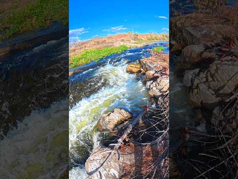 AÇUDE DA BARRA JOSÉ DA PENHA/RN, TRANSBORDANDO COM ÁGUA DO VELHO CHICO. #nordeste #agua #rio