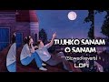 Tujhko Sanam oo Sanam lofi song #lofimusic #lovesong