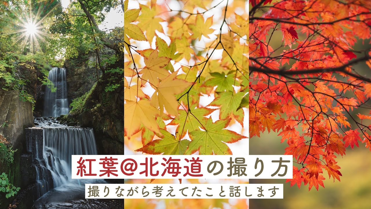 北海道で紅葉を撮影してきたので10枚紹介します
