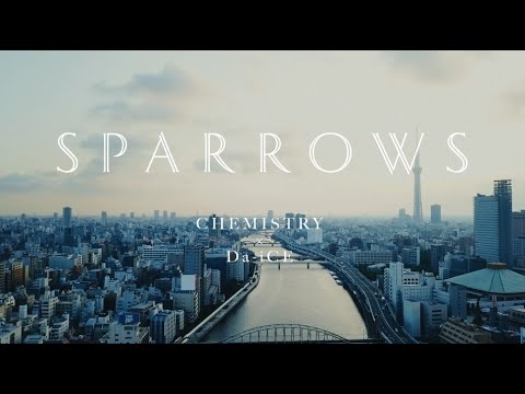 CHEMISTRY×Da-iCE ”スパロウズ” Official Video