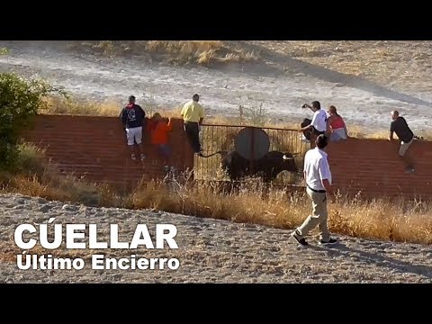 Cuéllar 2019 Quinto y Último Encierro