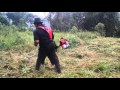Shindaiwa C350 PROBANDO