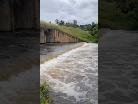 🌿 Tem lugares que renovam a alma… e esse é um deles! 🚴🌊
