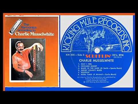 Charlie Musselwhite - Scufflin'