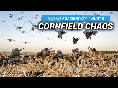 HUNGRY MALLARDS!! Fighting 40+ MPH Gusts to Our Layout Hide! | #ROADSHOW24 HUNT 8