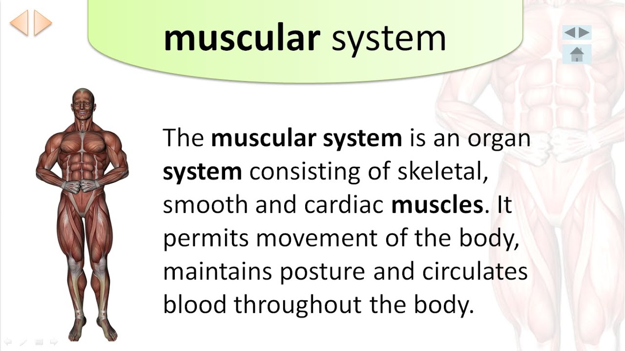 MS Power Point | power point presentation topic | animated ppt | animated ppt presentation |Computer