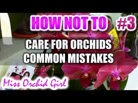 How NOT to care for Orchids - Common mistakes Part 3