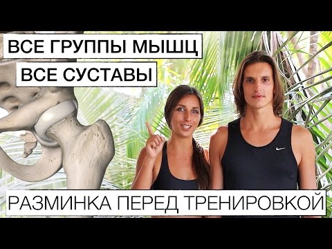 ГИМНАСТИКА ДЛЯ СУСТАВОВ. Разминка перед тренировкой. Зарядка