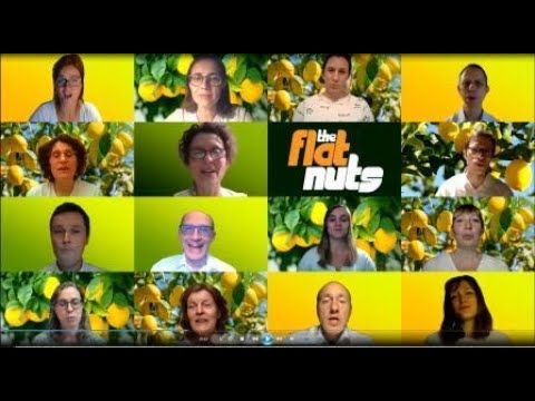 Lemon Tree - The Flat Nuts - zoomrepetitie april 2021