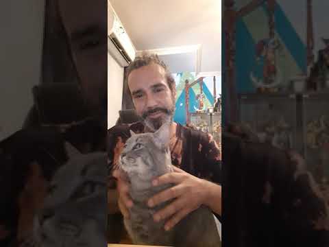 Aray y entremares y yo intentándolo, pero no me dejan!🤣