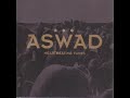 Aswad-03 Pickin' up