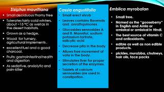 A study  of some plants of economic importance and their values in JIET Campus