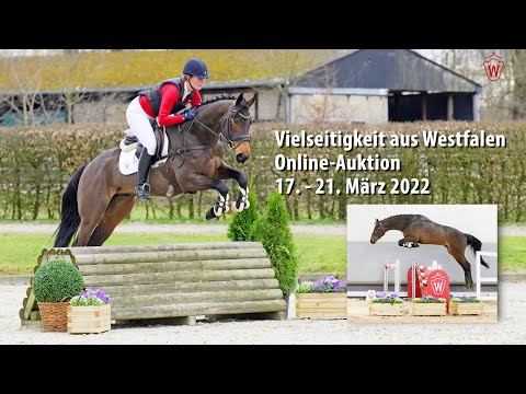 Trailer Vielseitigkeit aus Westfalen Online-Auktion 17. - 21. März 2022