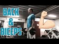 Quick FRIDAY Workout|Back and Biceps
