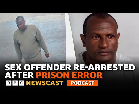 Video | Epping sex offender arrested, but has the damage been done? | BBC Newscast