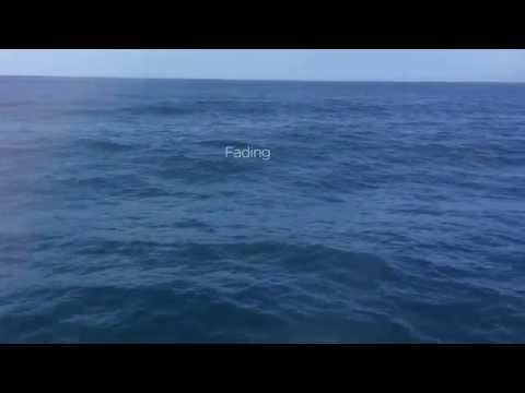 JetBelly: Sky Harbor Lyric Video
