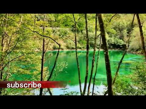 Lago di Cornino Forgaria l Cornino lake Forgaria (Italy) l Punjabi Family Vlogs