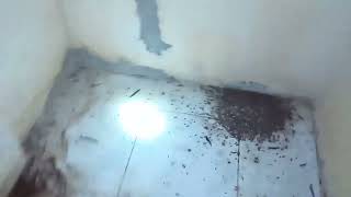 Download lagu Pengecekan Yang Kedua Kali‼️Rbw Ini Masuk Umur 5 Bulan Setelah Twt Rehap mp3