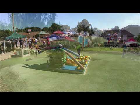 SDH DUBENEC KLIP JL 2025