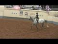 Petticoat Patty AQHYA 2010 World Show Jumping 7th Place SOLD