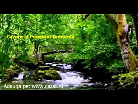 Cazare Stroiesti, Gorj - Cazat.ro