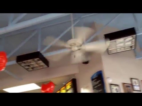 Regency MX Excel ceiling fans at a restraunt