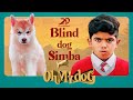 Oh My Dog Blind Dog Simba Arun Vijay Mahima Nambiar Vinay Rai 2D Entertainment