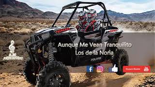 Aunque Me Vean Tranquilito   Los de la Noria