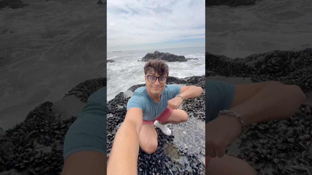 Beginner Tide Pooling Tips