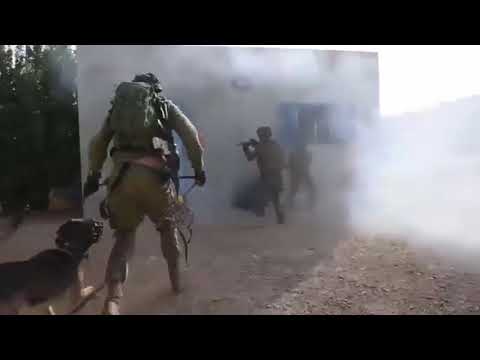 Agilite IDF-The Units: Oketz