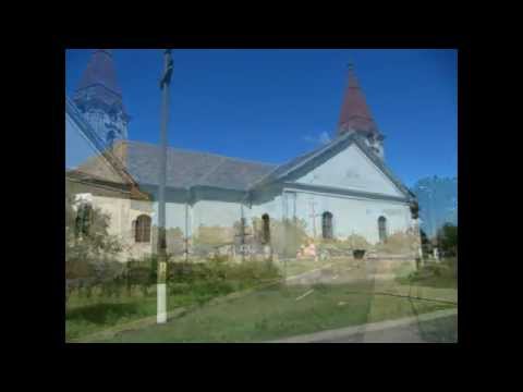 Bogarosch Sommer 2010