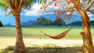 Beach vacation in Hawaii   Golden beaches