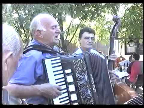 MAČVO MOJA -Žića Kojić i mačvanski muzički virtuozi- I deo