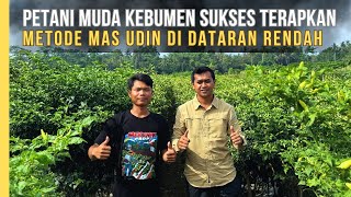 Download lagu Kebumen Farmers Prove Mas Udin's Chili Cultivation Method is Effective in Coastal Lowlands mp3 Download lagu Kebumen Farmers Prove Mas Udin's Chili Cultivation Method is Effective in Coastal Lowlands mp3