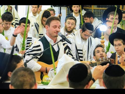 זלמן שטוב - "אנא ה" קליפ סוכות 2019 | Zalman Stub - Succot