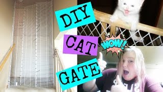 DIY--Cat Gate