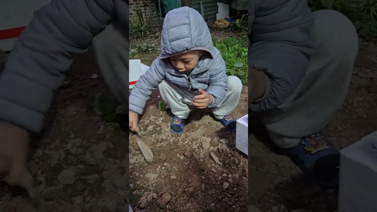 #funny #baby #shorts