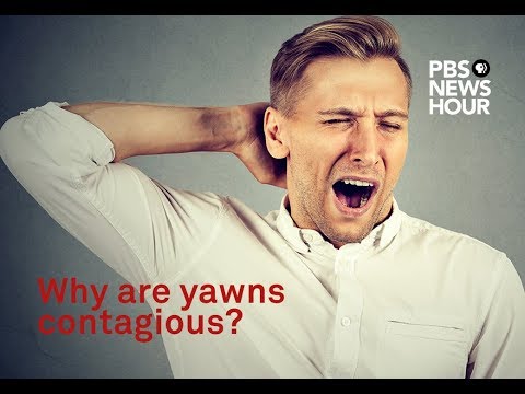 Why are yawns contagious? We asked a scientist
