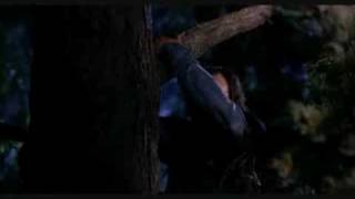 Tenacious D - Papagenu (He&#39;s My Sassafrass)