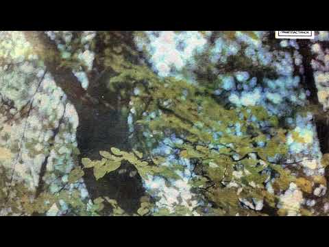 Lado Leskovar   Ti si tu (Tu sei tu)