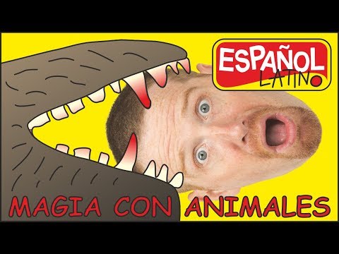 download lagu mp3 mp4 Maggie Sticks, download lagu Maggie Sticks gratis, unduh video klip Maggie Sticks