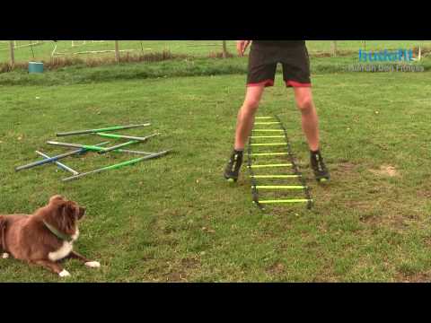 Training exercises with the coordination ladder