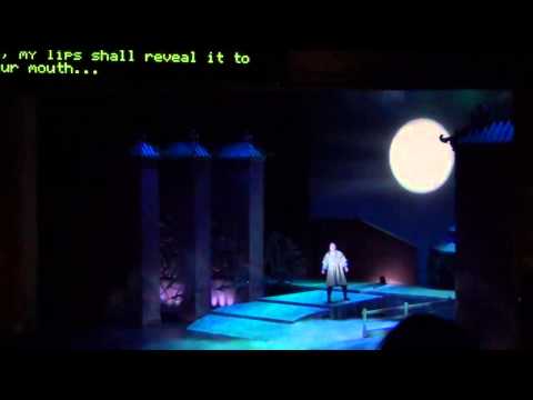 Rudy Park - Nessun Dorma 2014 Detroit Opera House