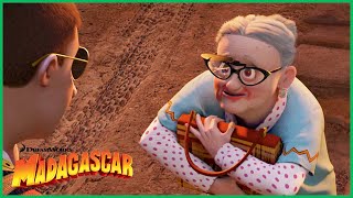 Vovó Nana Salva o Safari | DreamWorks Madagascar em Português