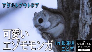 クラウドファンディングプロジェクト：ドラマが生まれたまち"三笠市"冬のイベント『北海道超三笠フェスティバル』開催へ！