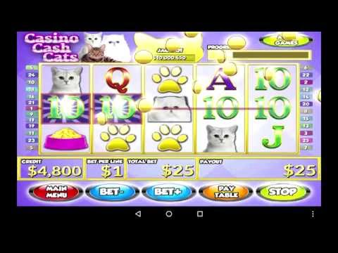 Casino Cash Cats Kitty Game Ve – Apps no Google Play